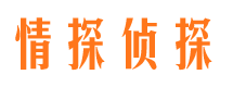 花都市侦探公司